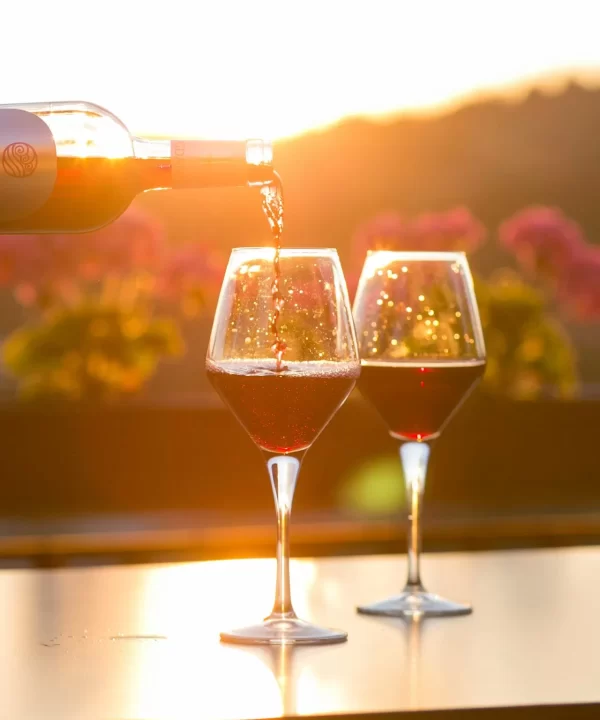 Billet musée WOW Porto