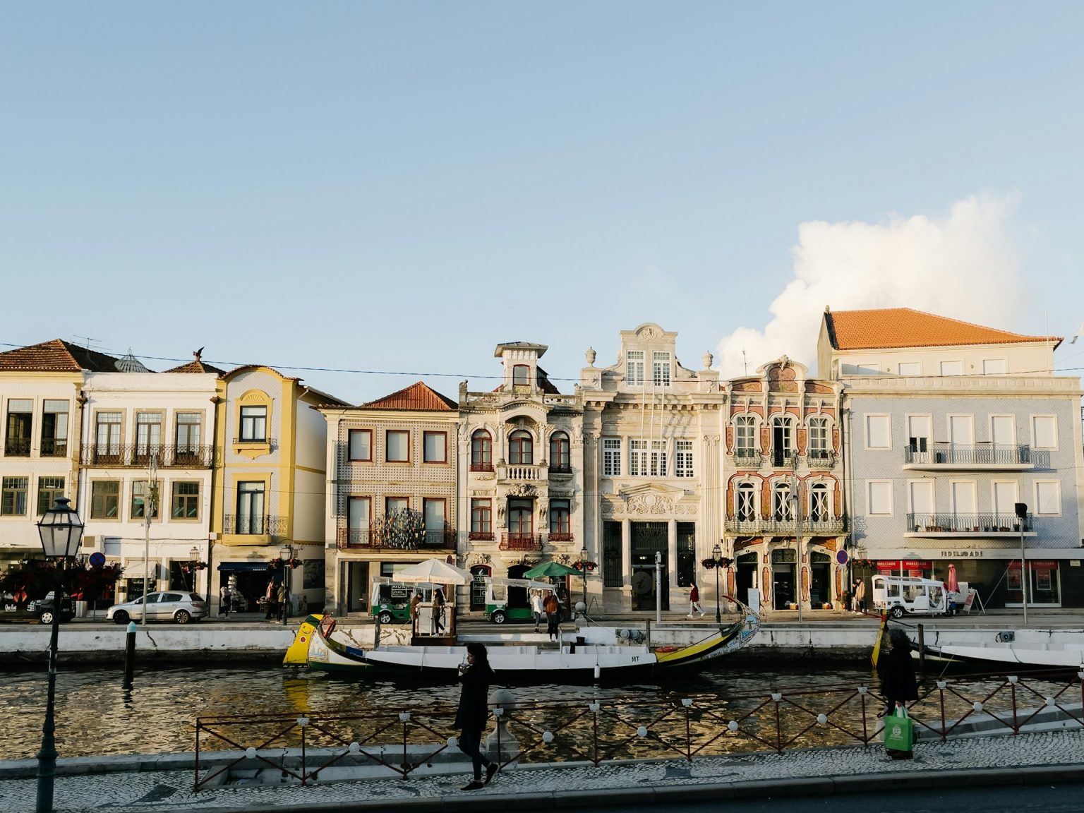 Excursion-à-Aveiro