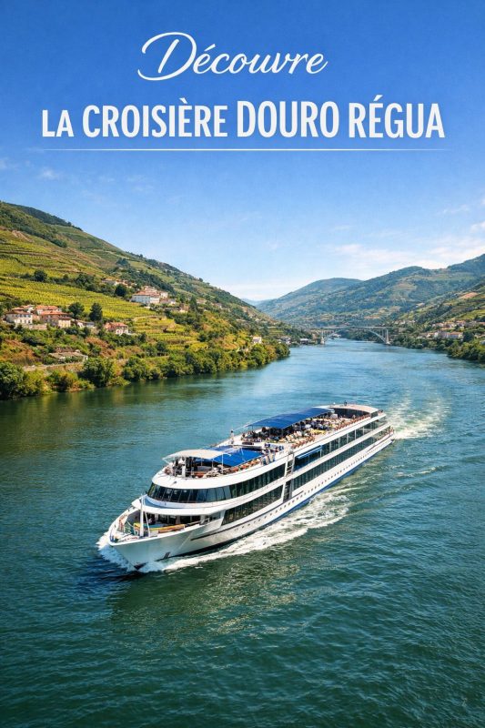 Découvre la croisière Douro Régua